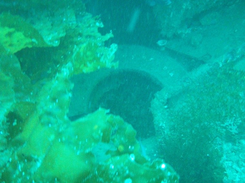 sm_p3310588.jpg