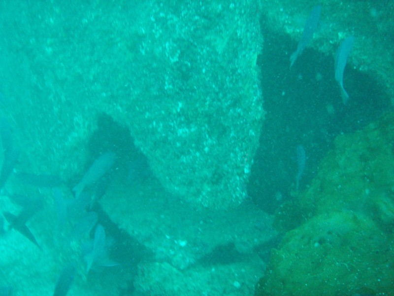 sm_p3310589.jpg