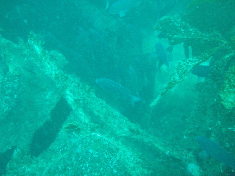 sm_p3310590.jpg