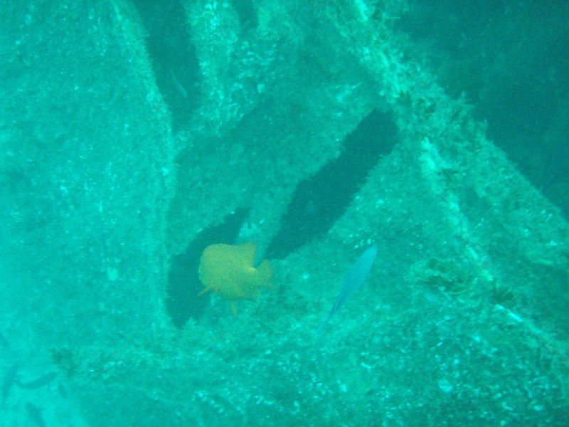 sm_p3310591.jpg