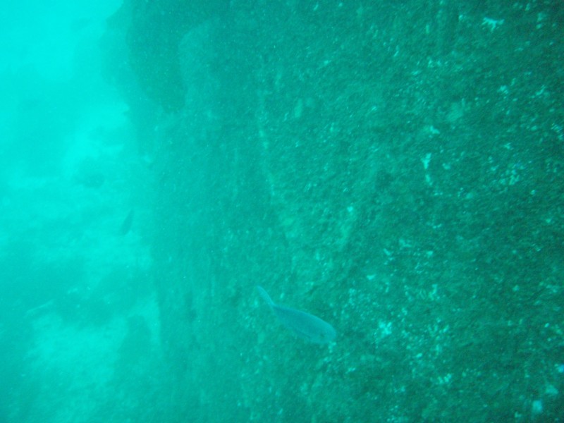 sm_p3310593.jpg
