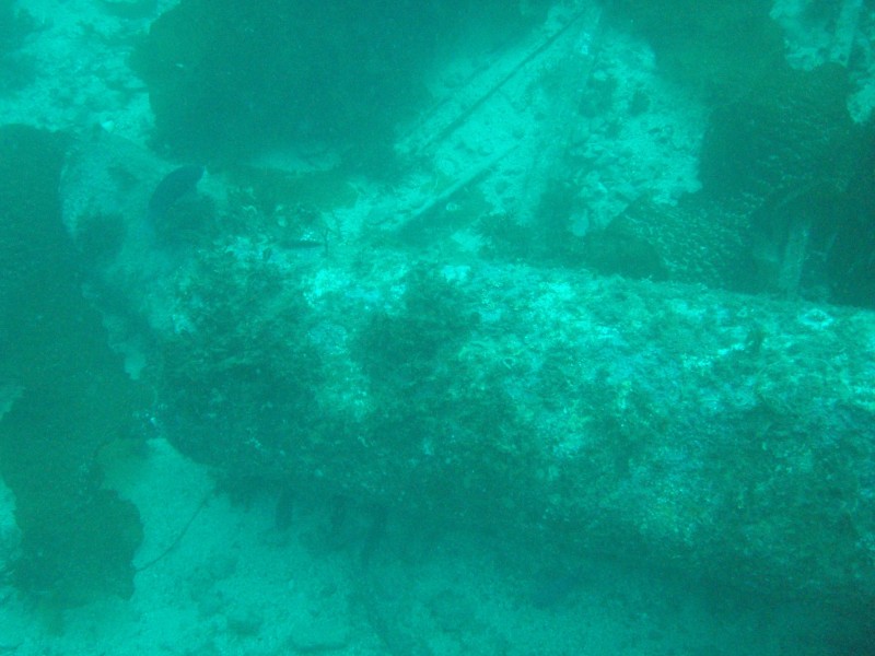 sm_p3310594.jpg