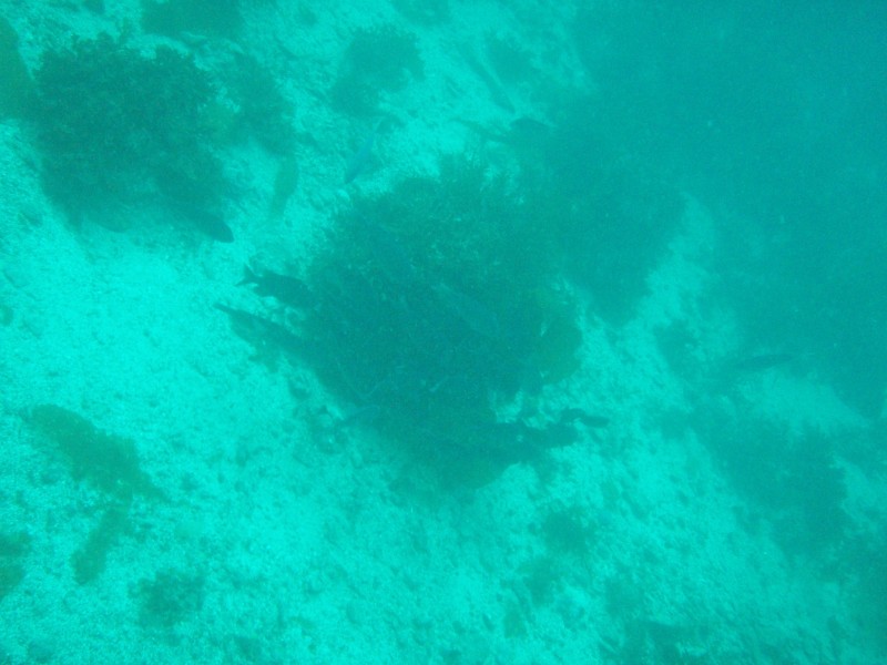 sm_p3310596.jpg