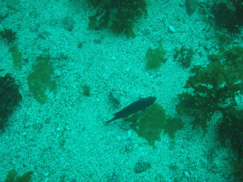 sm_p3310597.jpg