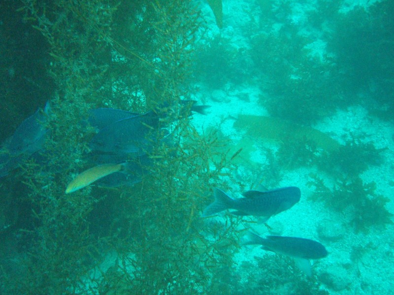 sm_p3310598.jpg