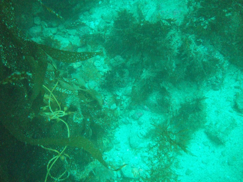 sm_p3310600.jpg