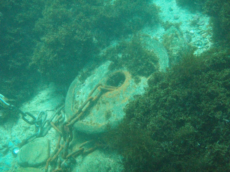 sm_p3310609.jpg