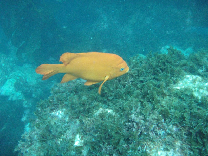 sm_p3310619.jpg