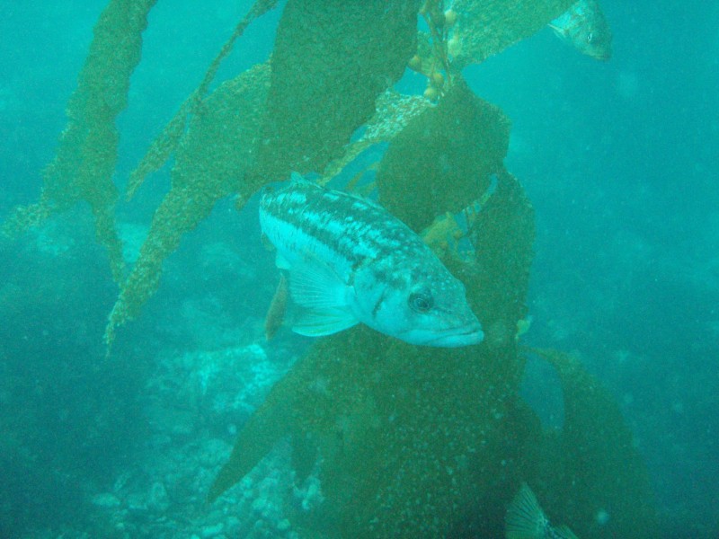 sm_p3310626.jpg