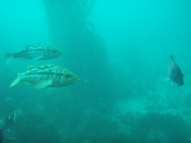 sm_p3310628.jpg
