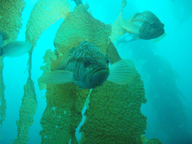 sm_p3310630.jpg