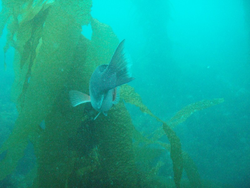 sm_p3310632.jpg