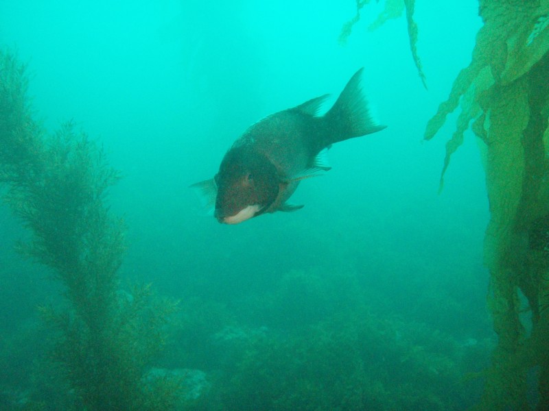 sm_p3310633.jpg