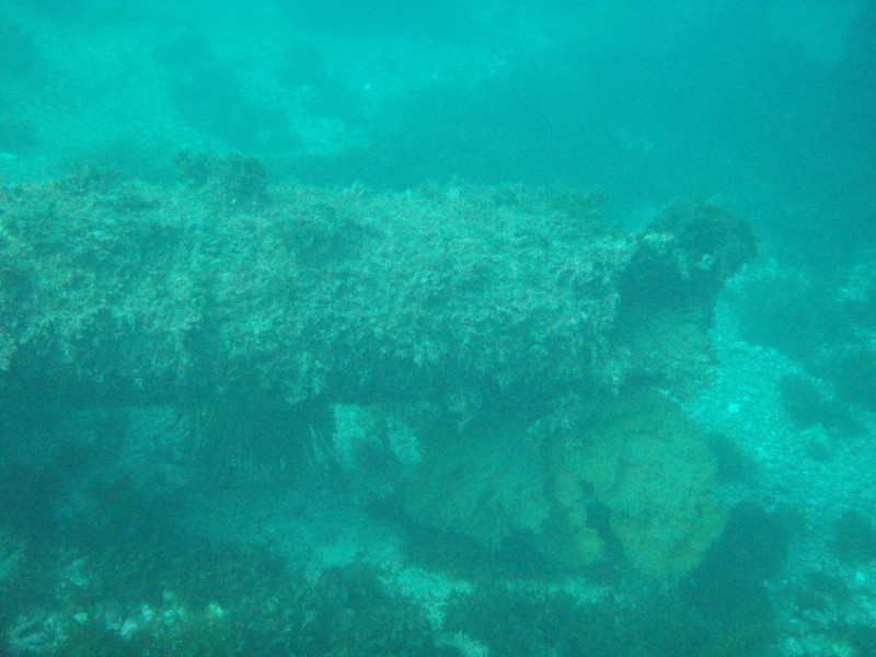 sm_p3310637.jpg