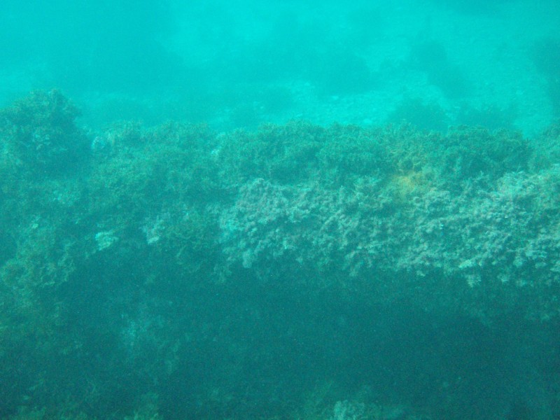 sm_p3310638.jpg