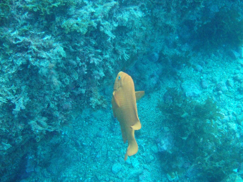 sm_p3310640.jpg