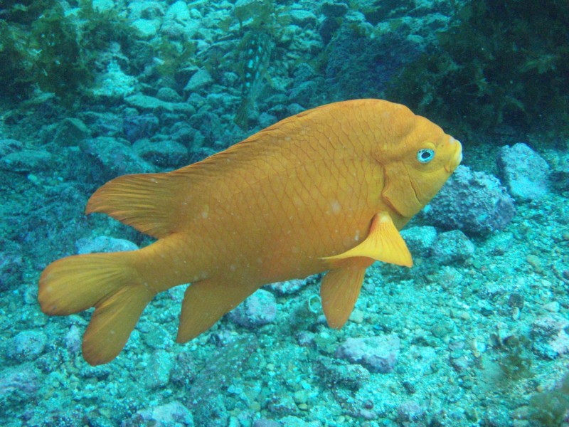 sm_p3310645.jpg