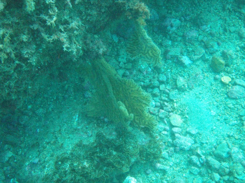 sm_p3310646.jpg