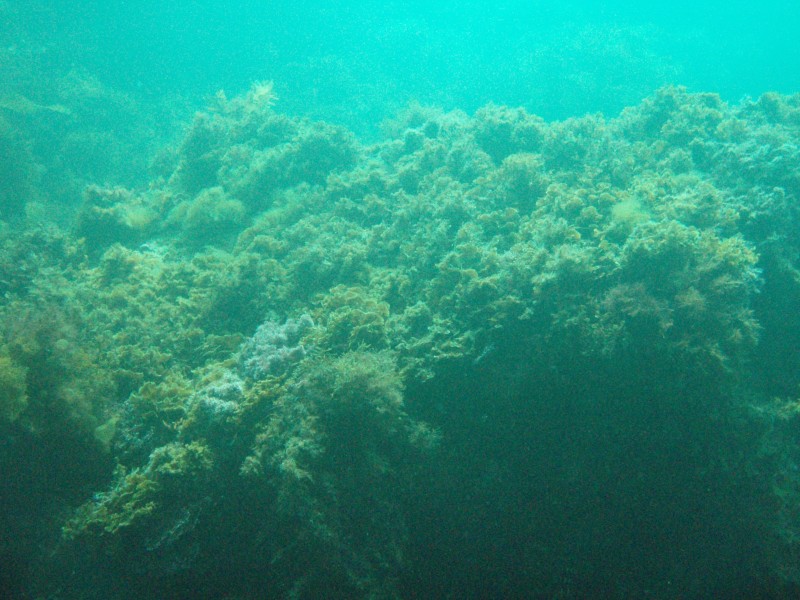 sm_p3310649.jpg