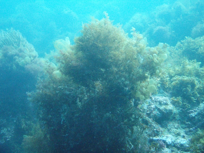sm_p3310663.jpg