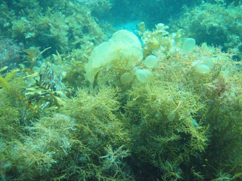 sm_p3310664.jpg