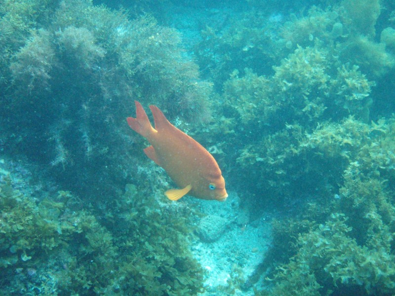 sm_p3310666.jpg