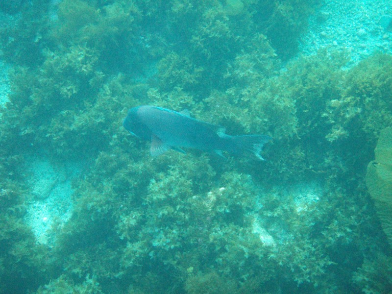 sm_p3310667.jpg