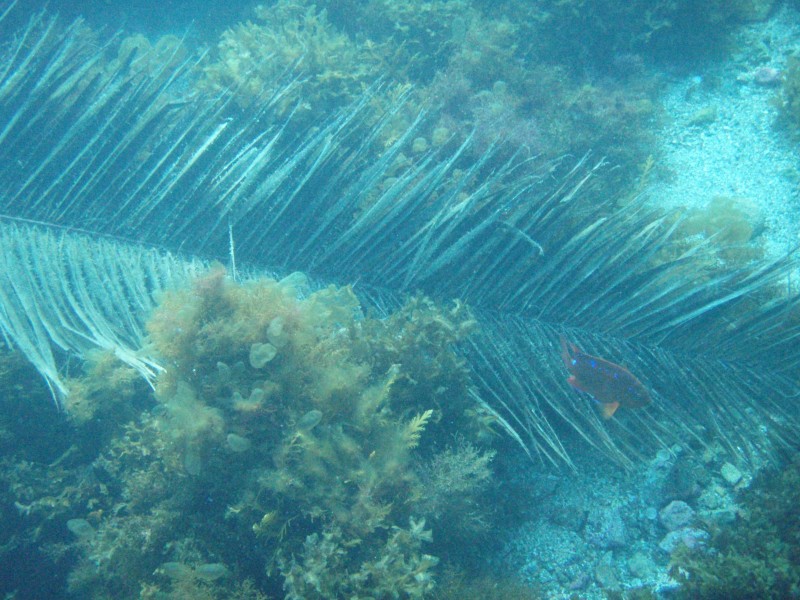 sm_p3310668.jpg