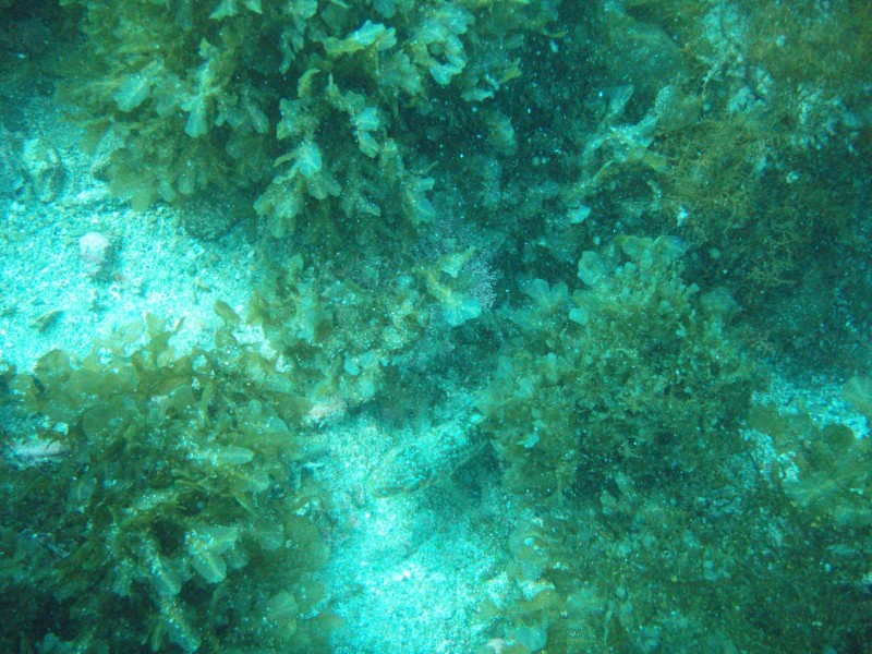 sm_p3310676.jpg