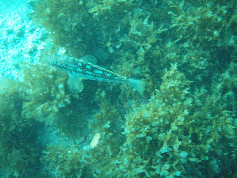 sm_p3310677.jpg
