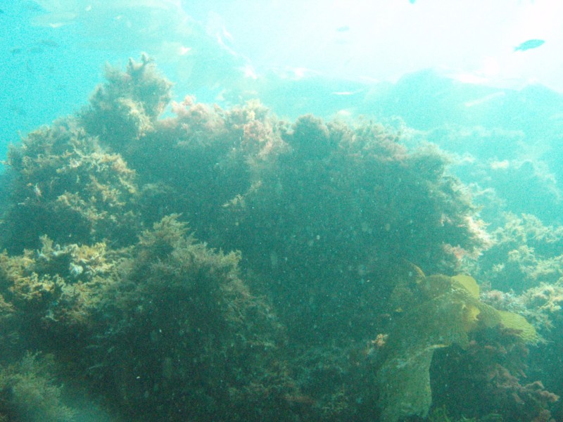 sm_p3310682.jpg