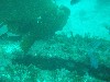 sm_p3310564.jpg