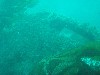 sm_p3310566.jpg