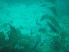 sm_p3310567.jpg