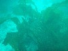 sm_p3310568.jpg