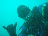 sm_p3310569.jpg