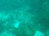sm_p3310570.jpg