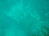 sm_p3310575.jpg