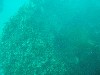 sm_p3310577.jpg