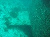 sm_p3310578.jpg