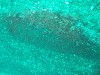 sm_p3310579.jpg