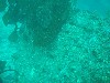 sm_p3310580.jpg