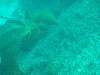 sm_p3310581.jpg