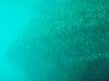 sm_p3310582.jpg