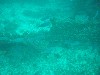 sm_p3310583.jpg