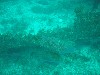 sm_p3310584.jpg