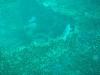 sm_p3310585.jpg