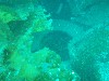 sm_p3310588.jpg
