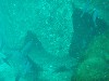 sm_p3310589.jpg