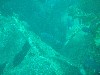 sm_p3310590.jpg